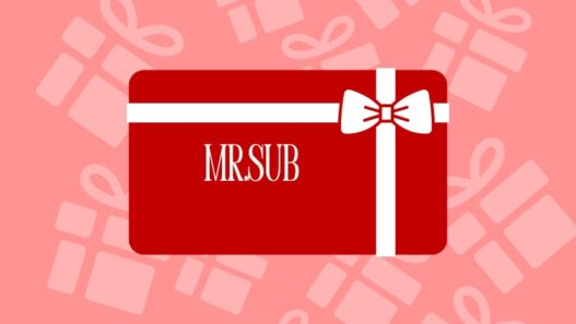 mr sub